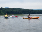 IMG 4099